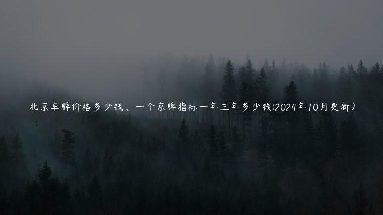 北京车牌价格多少钱、一个京牌指标一年三年多少钱(2024年10月更新）