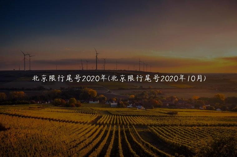 北京限行尾号2020年(北京限行尾号2020年10月)