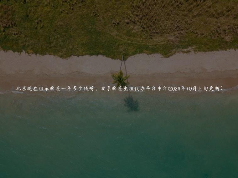 北京现在租车牌照一年多少钱呀、北京牌照出租代办平台中介(2024年10月上旬更新）