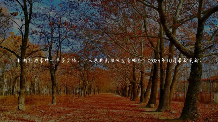 租新能源京牌一年多少钱、个人京牌出租风险有哪些？(2024年10月最新更新）