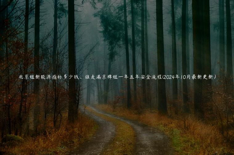 北京租新能源指标多少钱、谁走漏京牌租一年五年安全流程(2024年10月最新更新）