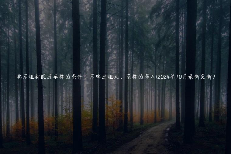 北京租新能源车牌的条件、京牌出租大，京牌的深入(2024年10月最新更新）