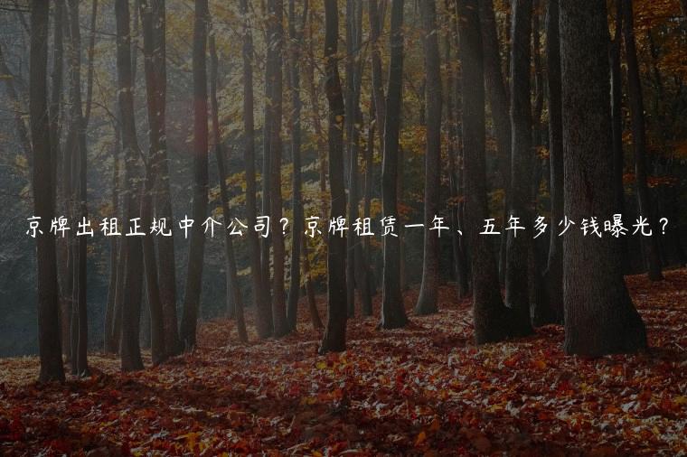 京牌出租正规中介公司？京牌租赁一年、五年多少钱曝光？