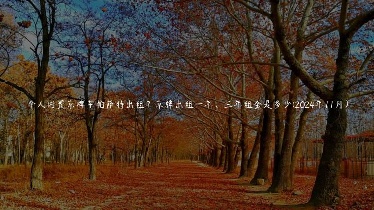 个人闲置京牌车帕萨特出租？京牌出租一年、三年租金是多少(2024年11月）