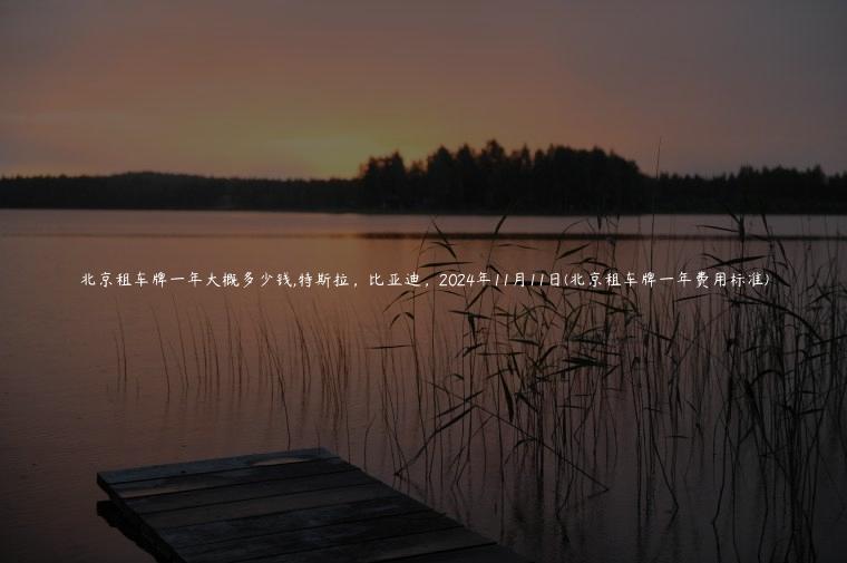 北京租车牌一年大概多少钱,特斯拉，比亚迪，2024年11月11日(北京租车牌一年费用标准)