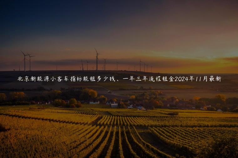 北京新能源小客车指标能租多少钱、一年三年流程租金2024年11月最新