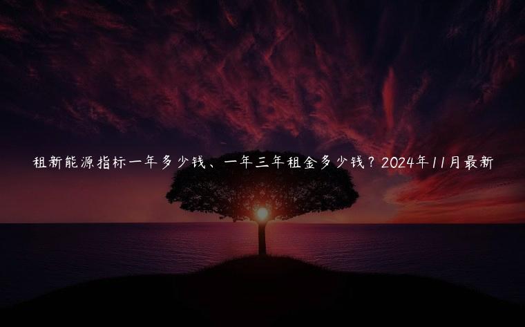 租新能源指标一年多少钱、一年三年租金多少钱？2024年11月最新