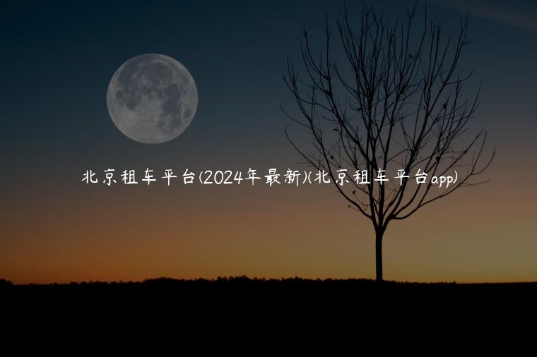 北京租车平台(2024年最新)(北京租车平台app)