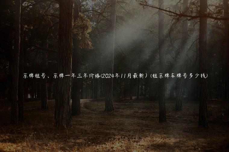 京牌租号、京牌一年三年价格(2024年11月最新）(租京牌车牌号多少钱)