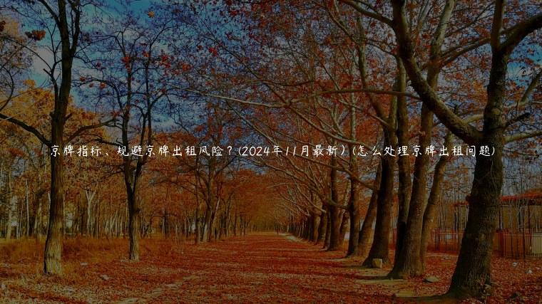 京牌指标、规避京牌出租风险？(2024年11月最新）(怎么处理京牌出租问题)