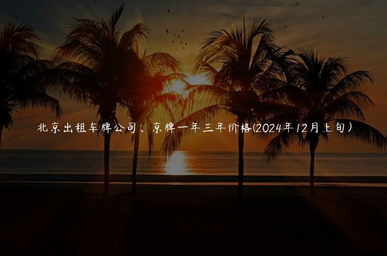 北京出租车牌公司、京牌一年三年价格(2024年12月上旬）