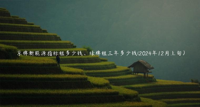 京牌新能源指标租多少钱、绿牌租三年多少钱(2024年12月上旬）