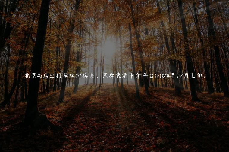 北京4s店出租车牌价格表、京牌靠谱中介平台(2024年12月上旬）