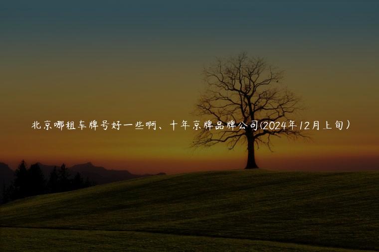 北京哪租车牌号好一些啊、十年京牌品牌公司(2024年12月上旬）