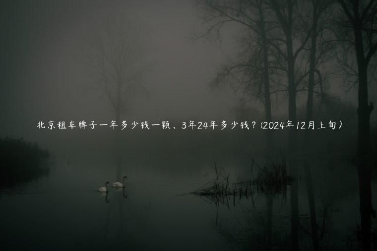 北京租车牌子一年多少钱一颗、3年24年多少钱？(2024年12月上旬）