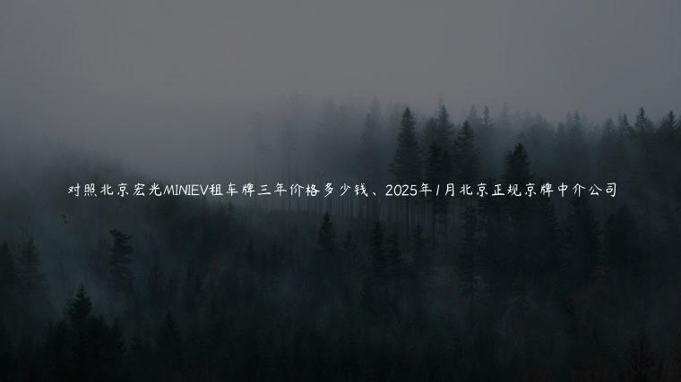 对照北京宏光MINIEV租车牌三年价格多少钱、2025年1月北京正规京牌中介公司