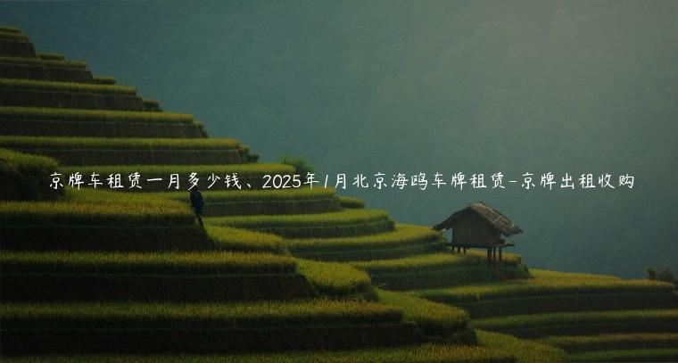 京牌车租赁一月多少钱、2025年1月北京海鸥车牌租赁-京牌出租收购