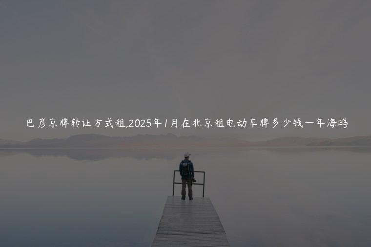 巴彦京牌转让方式租,2025年1月在北京租电动车牌多少钱一年海鸥