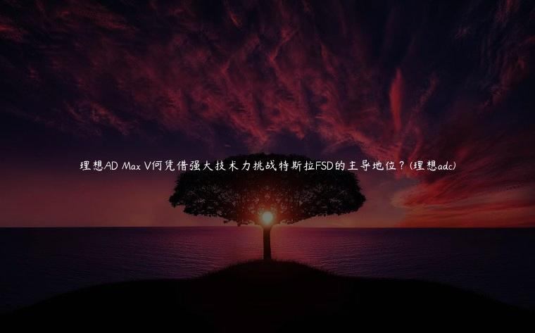 理想AD Max V何凭借强大技术力挑战特斯拉FSD的主导地位？(理想adc)