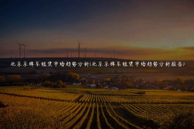 北京京牌车租赁市场趋势分析(北京京牌车租赁市场趋势分析报告)