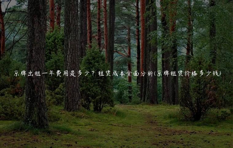 京牌出租一年费用是多少？租赁成本全面分析(京牌租赁价格多少钱)