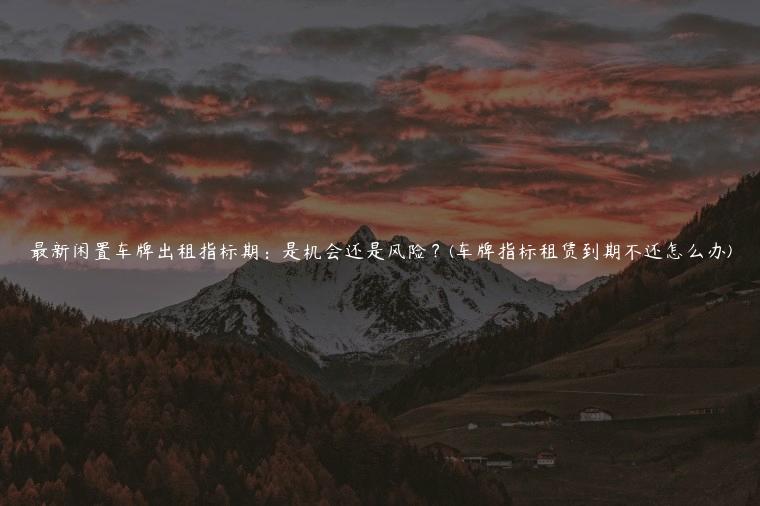 最新闲置车牌出租指标期：是机会还是风险？(车牌指标租赁到期不还怎么办)