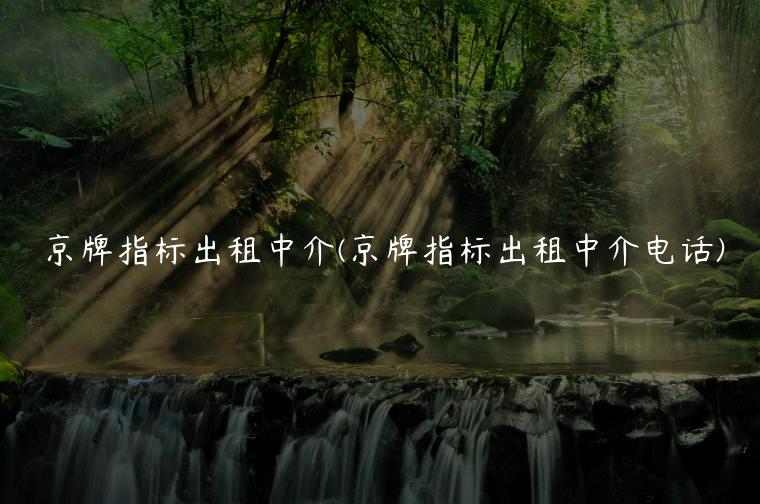 京牌指标出租中介(京牌指标出租中介电话)