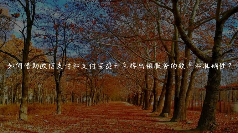 如何借助微信支付和支付宝提升京牌出租服务的效率和准确性？