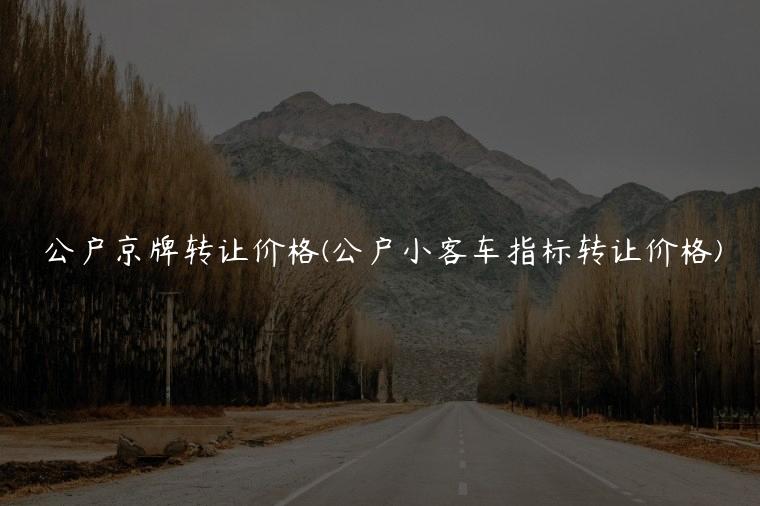 公户京牌转让价格(公户小客车指标转让价格)