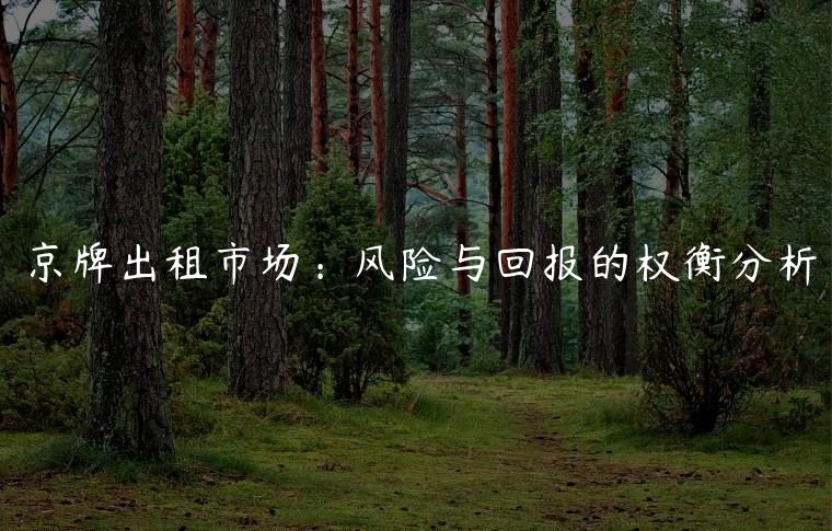 京牌出租市场：风险与回报的权衡分析