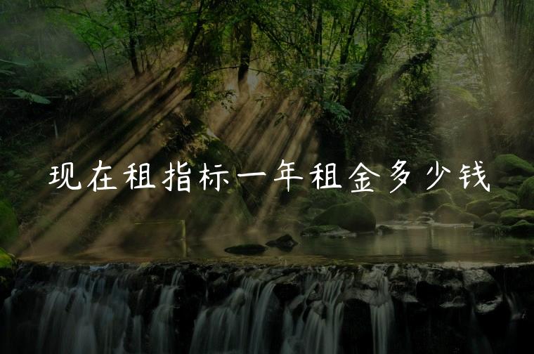 现在租指标一年租金多少钱