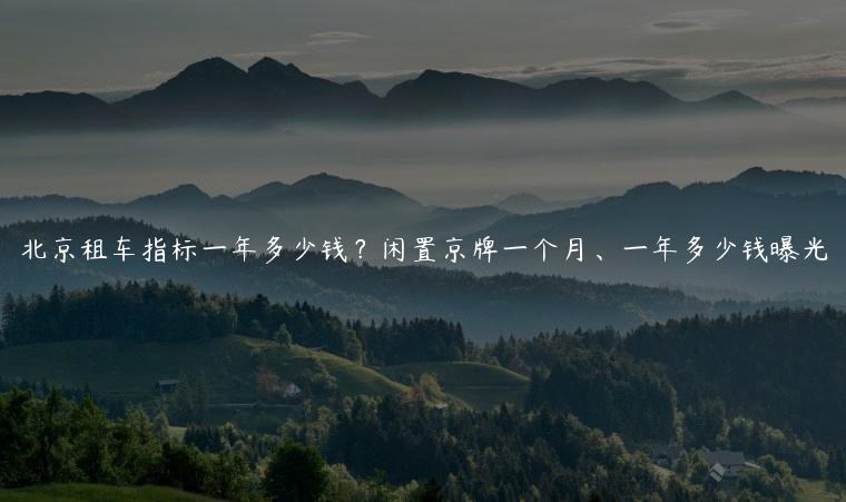 北京租车指标一年多少钱？闲置京牌一个月、一年多少钱曝光