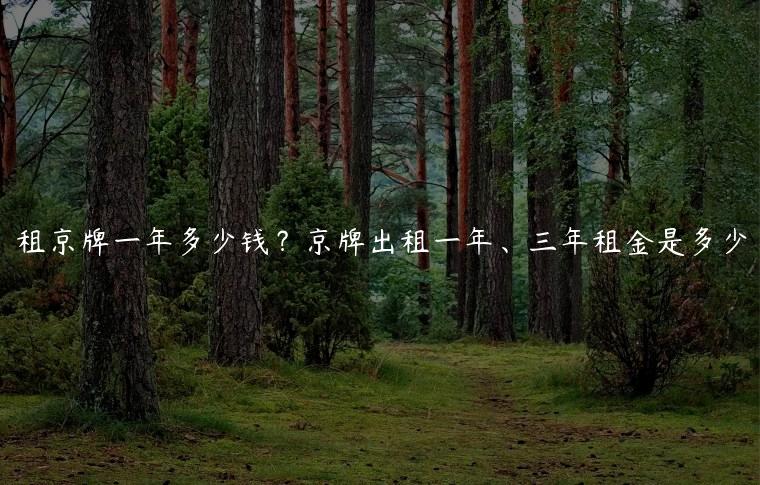 租京牌一年多少钱？京牌出租一年、三年租金是多少