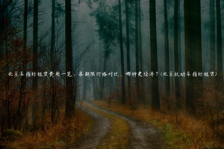 北京车指标租赁费用一览：各期限价格对比，哪种更经济？(北京机动车指标租赁)