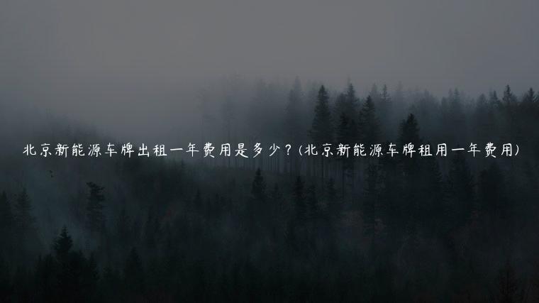 北京新能源车牌出租一年费用是多少？(北京新能源车牌租用一年费用)