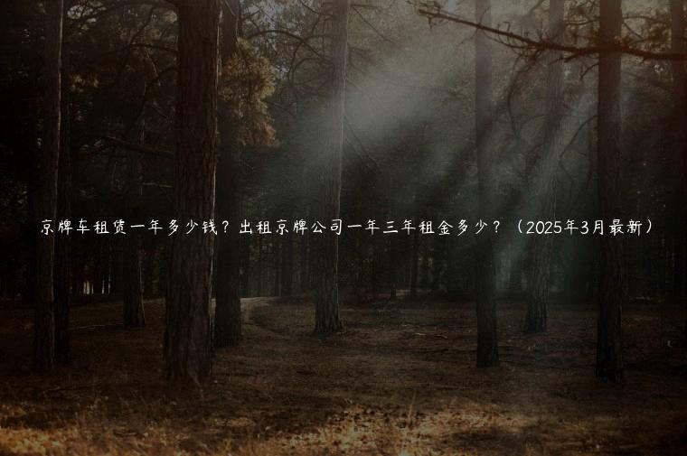 京牌车租赁一年多少钱？出租京牌公司一年三年租金多少？（2025年3月最新）
