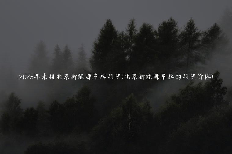 2025年求租北京新能源车牌租赁(北京新能源车牌的租赁价格)