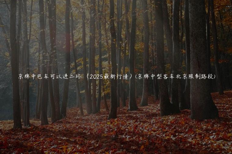京牌中巴车可以进二环 （2025最新行情）(京牌中型客车北京限制路段)