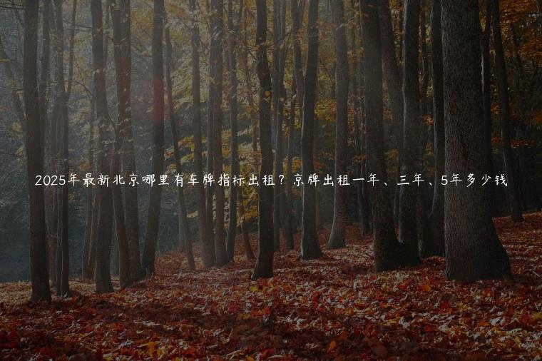 2025年最新北京哪里有车牌指标出租？京牌出租一年、三年、5年多少钱