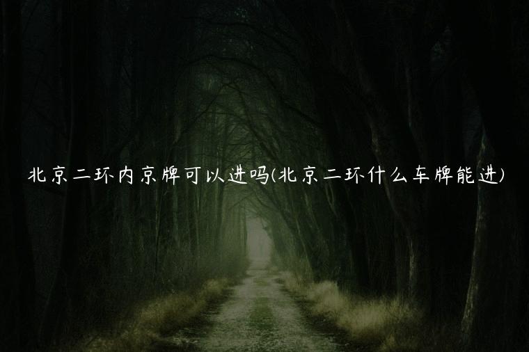 北京二环内京牌可以进吗(北京二环什么车牌能进)