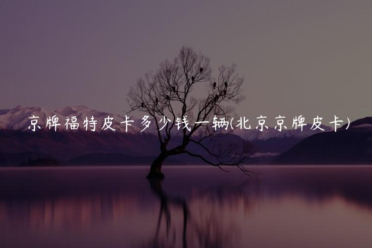 京牌福特皮卡多少钱一辆(北京京牌皮卡)