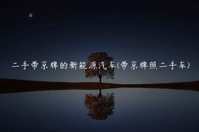二手带京牌的新能源汽车(带京牌照二手车)