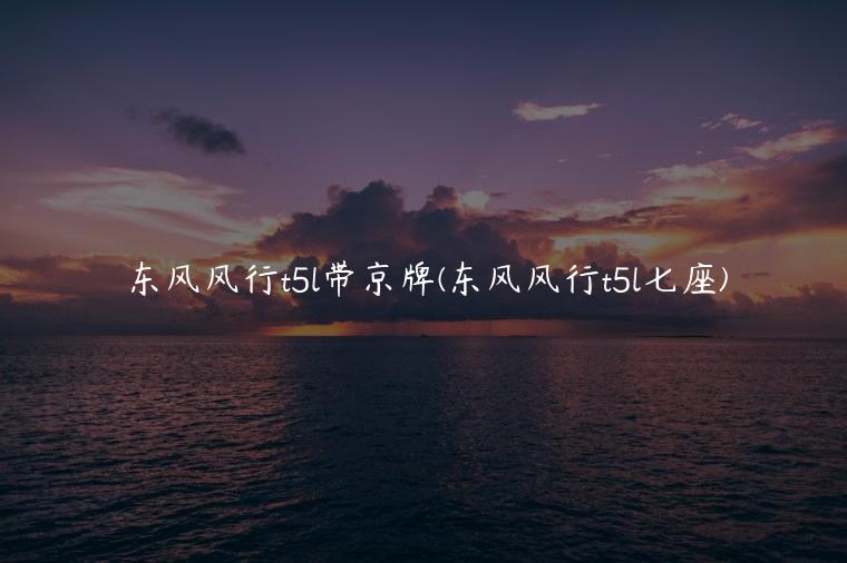 东风风行t5l带京牌(东风风行t5l七座)