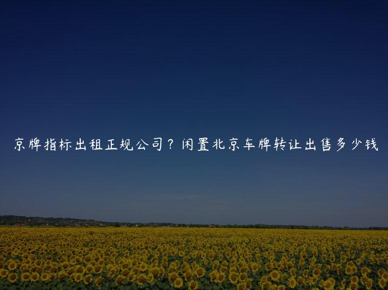 京牌指标出租正规公司？闲置北京车牌转让出售多少钱