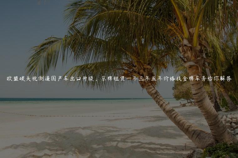 欧盟碳关税倒逼国产车出口升级，京牌租赁一年三年五年价格找金牌车务给你解答