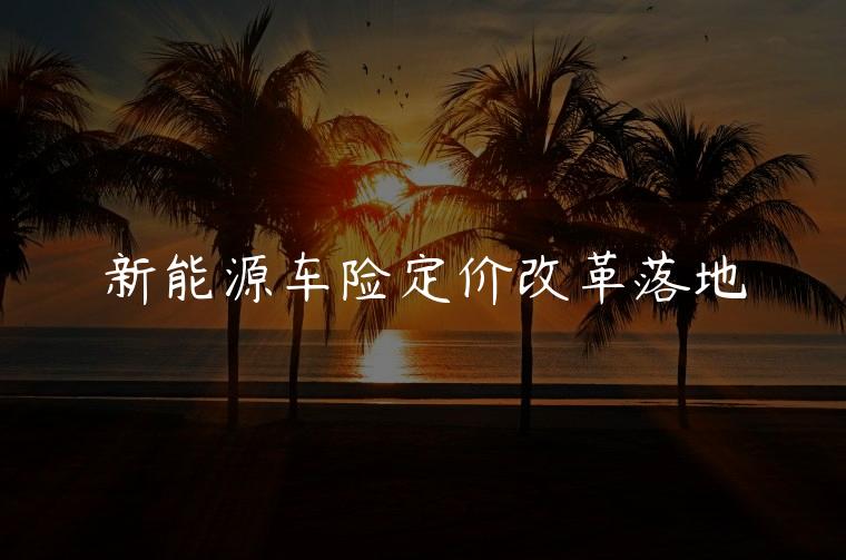 新能源车险定价改革落地