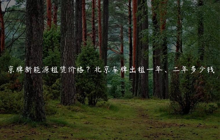 京牌新能源租赁价格？北京车牌出租一年、二年多少钱