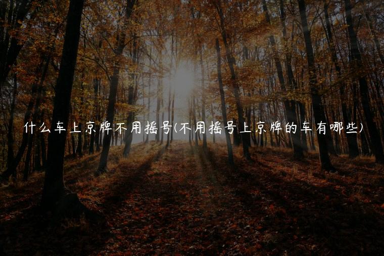 什么车上京牌不用摇号(不用摇号上京牌的车有哪些)