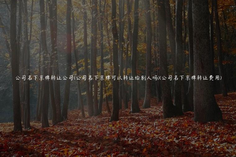 公司名下京牌转让公司(公司名下京牌可以转让给别人吗)(公司名下京牌转让费用)