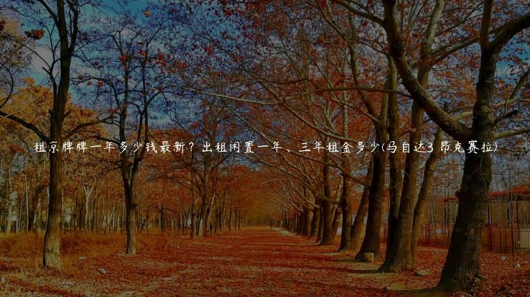租京牌牌一年多少钱最新？出租闲置一年、三年租金多少(马自达3 昂克赛拉)